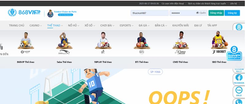 868VIP hợp tác với nhiều đối tác