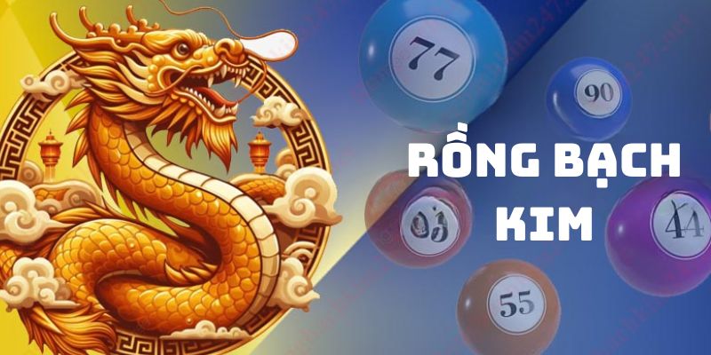 rồng bạch kim là gì